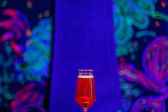 mg_9103