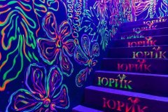 mg_9356